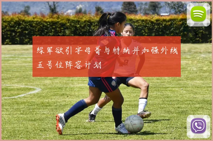 绿军欲引字母哥与特纳并加强外线五号位阵容计划