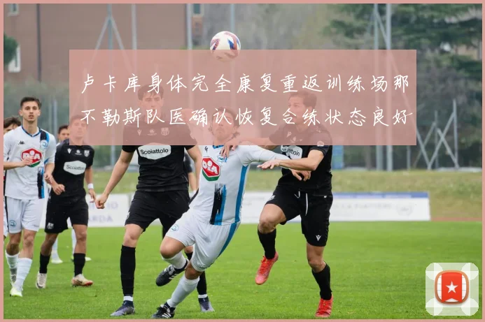 卢卡库身体完全康复重返训练场那不勒斯队医确认恢复合练状态良好